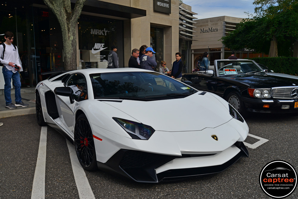D8E_5319 copy.jpg